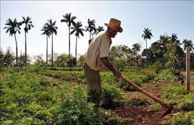 El Ayuntamiento Municipal de Bayaguana, junto al alcalde municipal, conmemoró este 15 de mayo el Día del Agricultor, reconociendo la dedicación, el esfuerzo y el compromiso de todos los hombres y mujeres del campo que contribuyen al desarrollo agrícola y económico del municipio y del país.